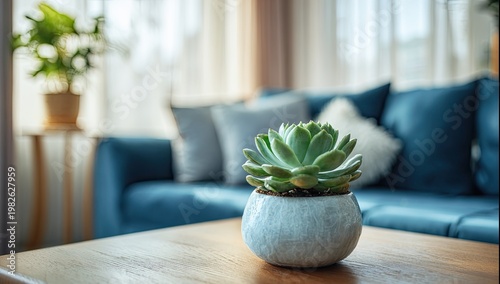 Succulent plant in a textured pot sits on a wooden table in a softly lit living room