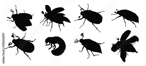 set silhouettes of may beetle