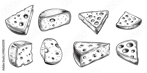 various cheeses hand engraving set dairy products ink sketch