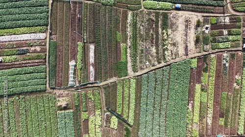 aerail view of farm land