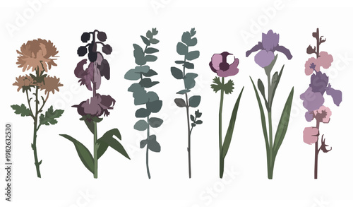 Japanese flower vector set with colored hand drawn chrysanthemum sakura iris and botanical stems