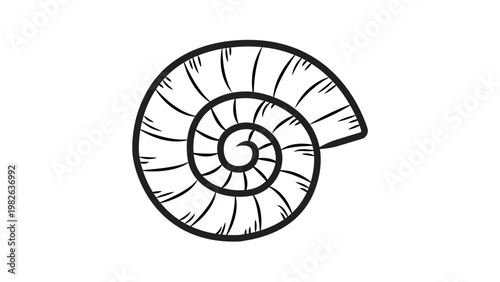 Minimalist black line vector illustration of an ammonite fossil shell. This hand-drawn spiral nautilus outline icon is perfect for paleontology, marine biology, science, and nature designs.