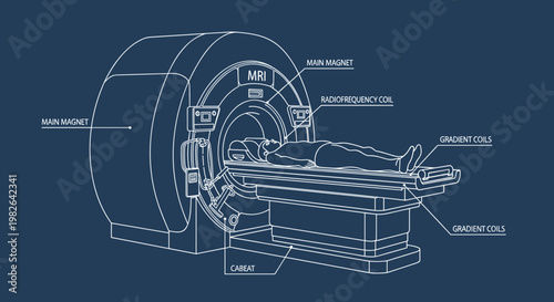 Technical blueprint illustration of a person inside an MRI machine, showcasing detailed labeled components on a dark blue background