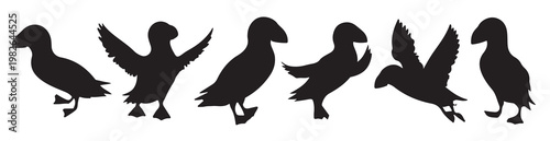 set of puffin silhouettes 