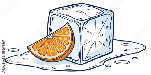 Orange slice next to a melting ice cube in cartoon style with frozen fruit ice chunk hand drawn white background food and drink beverage ingredient refreshing drink refreshment beverage