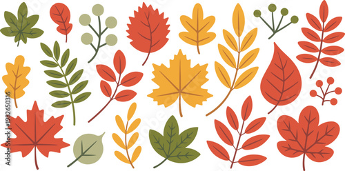 Collection of autumn leaves in various shapes and colors, perfect for seasonal decorations, patterns, and greeting cards.