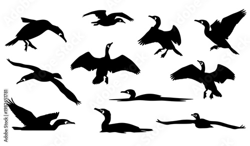 Dynamic cormorant bird silhouette vector set with aquatic seabird poses in abstract layout isolated on white background