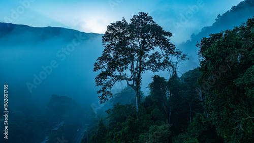 An aerial photograph shows morning mist lingering over a bridge crossing a canal flowing through Saphan Village, Nan Province. Wooden houses along the river, surrounded by lush tropical forest
