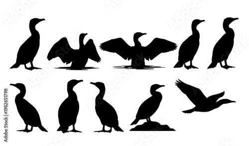 Cormorant bird silhouettes vector set with aquatic seabird poses isolated on white background for wildlife design