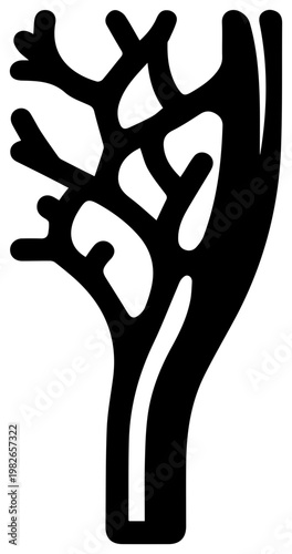 Stylized black silhouette of a branching artery or blood vessel symbolizing circulation health and the circulatory system against a stark white background representing medical