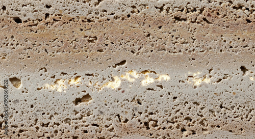 Close-up of textured concrete surface with visible air voids