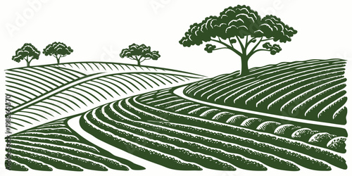 Graphic illustration of a rolling agricultural landscape with furrows rows of crops trees on a hillside landscape agriculture countryside illustration monochrome cultivation