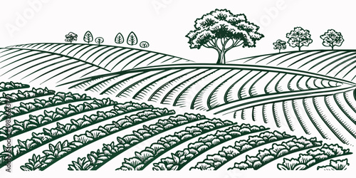 Stylized agricultural landscape with green crops in neat rows and trees on a rolling horizon monochrome graphic style landscape agriculture countryside illustration monochrome cultivation