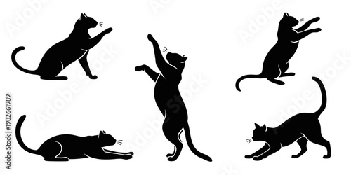 Group of black cat silhouettes in various playing and stretching positions with silhouette stretching reaching illustration isolated background domestic movement behavior creative