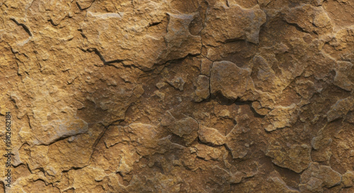 Close-Up of Cracked, Weathered Earth Texture