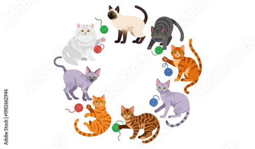 Cartoon cat breed sticker set with Persian Siamese Sphynx Bengal and tabby in cute playful poses