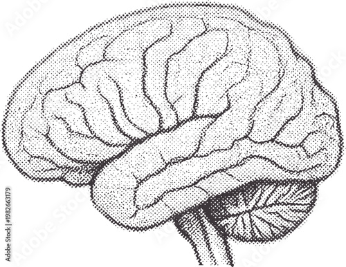 Black and white halftone dot of a human brain in profile anatomy science medical