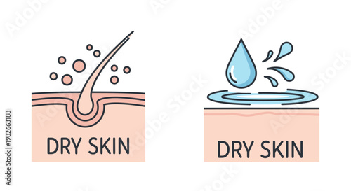 Dry Skin Care: Hair Follicle and Hydration Comparison