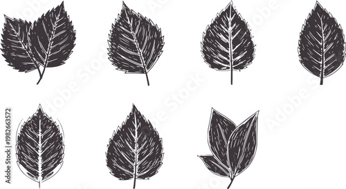 Collection of eight dark grey sketched leaves with visible veins leaf nature plant