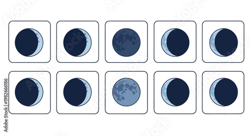 Lunar Phases Cycle Diagram - Moon Stages Collection