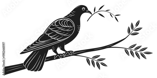Black and white illustration of a bird perched on an olive branch with leaves and a small twig held in its beak silhouette wildlife messenger illustration outdoors spiritual religious