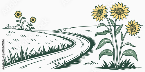Graphic illustration of a rural path curving through a sunflower meadow in a minimalist line art style with sunflower landscape illustration botanical countryside creative decorative