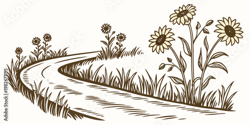 Sepia toned illustration of a winding pathway stretching through a scenic sunflower field in a hand drawn style with sunflower landscape illustration botanical countryside creative