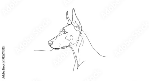 Doberman dog portrait line drawing on minimalist gray background