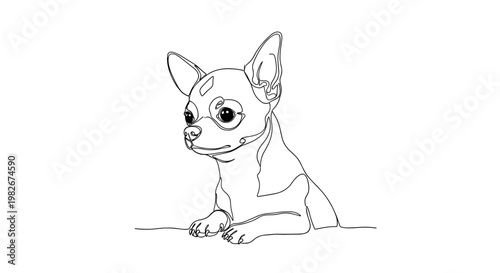 Chihuahua dog portrait line drawing on minimalist gray background