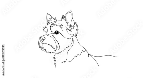 Yorkshire terrier dog portrait line drawing on minimalist gray background