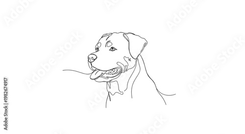 Rottweiler dog portrait line drawing on minimalist gray background
