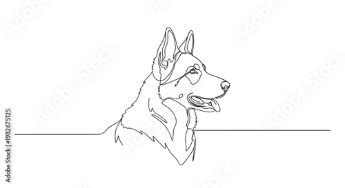 German shepherd dog portrait line drawing on minimalist gray background