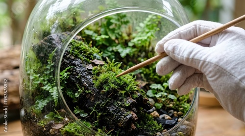 Closeup of a person in white gloves arranging a moss terrarium
