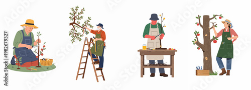Set of flat illustrations showing people performing fruit tree grafting, pruning, and orchard maintenance tasks in various outdoor and indoor settings.