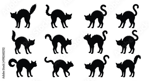 Fotografía Black cat silhouette collection, set of 12 spooky feline icons with arched backs