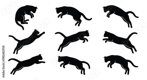 Photography Black cat silhouette set, jumping feline vector icons, 9 domestic cat action pos