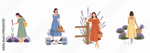 Collection of women in dresses picking and enjoying lavender flowers in a field, flat vector illustration.