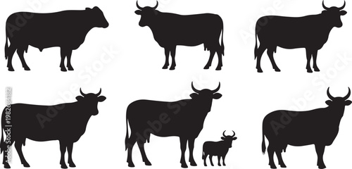 Set of cow silhouettes on white background illustration
