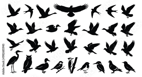 Flying bird silhouettes collection, 32 black avian vector elements, wild birds in flight and perched positions, nature wildlife icons