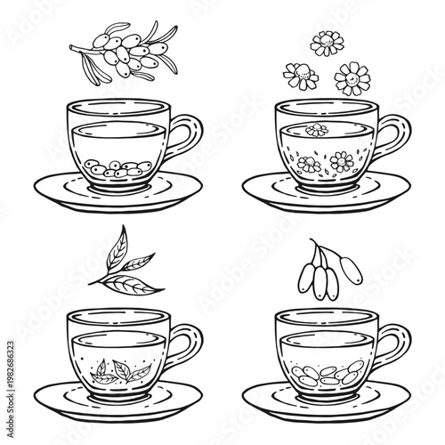 Set glass mugs of tea and saucer. Medicinal tea. Hand drawn vector illustration.