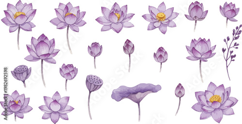 A beautiful set of purple and white floral vectors featuring spring blossom petals and garden leaves in a decorative nature pattern design