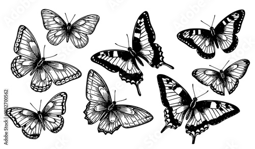 Vintage butterfly illustration vector set with swallowtail species hand drawn in black and white