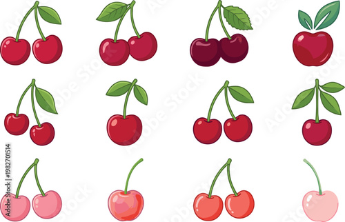Cherry Fruit Icon Set with Various Red and Pink Cherry Styles with Leaves for Fresh Food Design and Sweet Dessert Illustration Collection