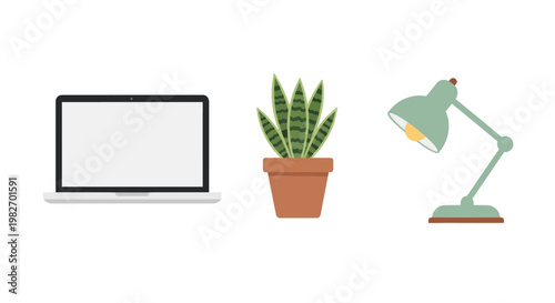 Modern Desk Setup: Laptop, Potted Snake Plant, and Desk Lamp on White Background