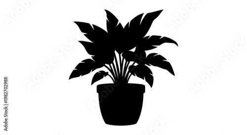 A silhouetted potted plant with large deeply lobed leaves