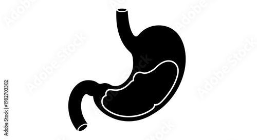 Stylized depiction of a human stomach showcasing its anatomical form