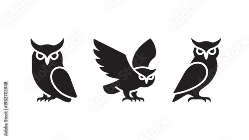 Three Black Silhouette Owls For Wildlife And Nature Concepts