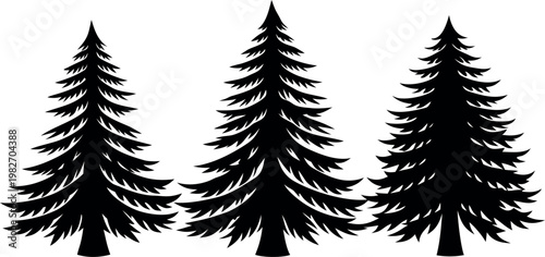 Three pine trees in a row isolated on transparent background