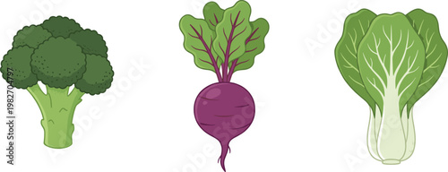 Fresh Vegetable Collection with Broccoli, Beetroot, and Chinese Cabbage Flat Vector Illustration for Healthy Food, Organic Farming, and Nutrition Design Projects