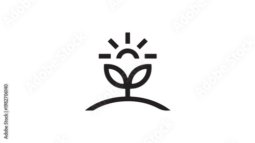 Sprouting Plant Growing Under Sunlight For Nature Growth Concepts